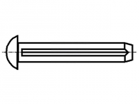 200x B2X4/BN893 Rivet pin steel 200x B2X4/BN893 Rivet pin steel
