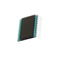DE123-RS-20/6.35 Display LCD DE123-RS-20/6.35 Display LCD