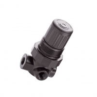R07-100-RNKG Output pressure R07-100-RNKG Output pressure